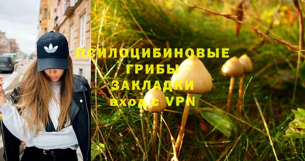 меф Вяземский